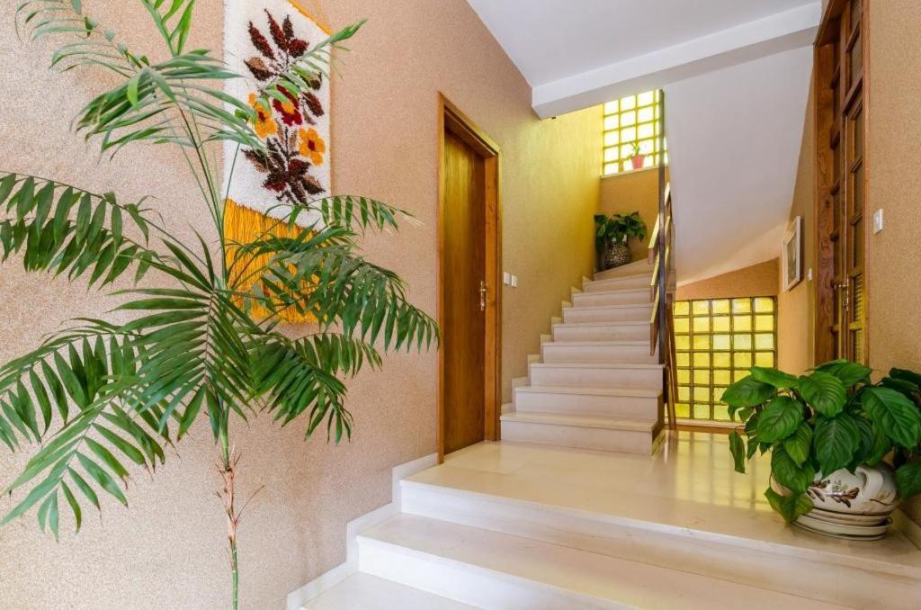 Apartments Villa Ivka Дубровник Екстериор снимка